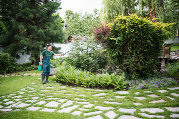 Trusted Bernice, LA Pest Control Experts