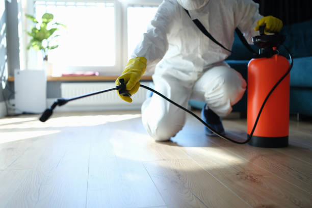 Best Local Pest Control Services  in Bernice, LA
