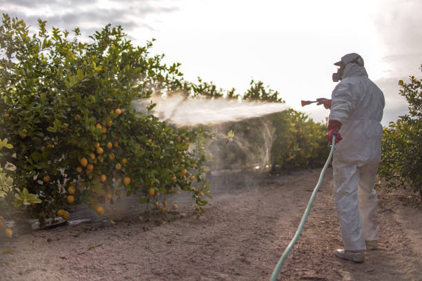 Best Pest Prevention Services  in Bernice, LA