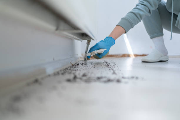 Pest Control for Restaurants in Bernice, LA