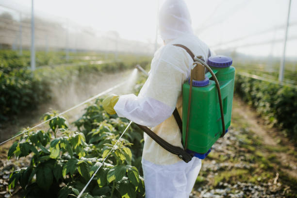 Insect Control in Bernice, LA